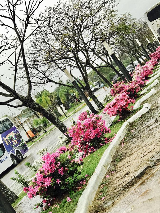 Apartment Mirasol Lll Federacion